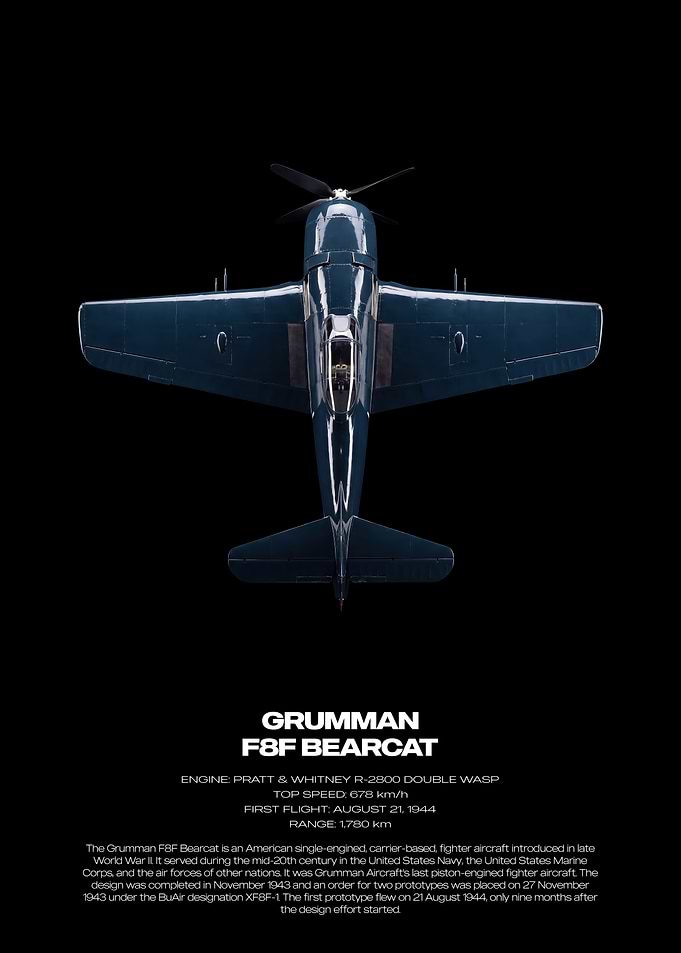Grumman F8F Bearcat Technical Poster