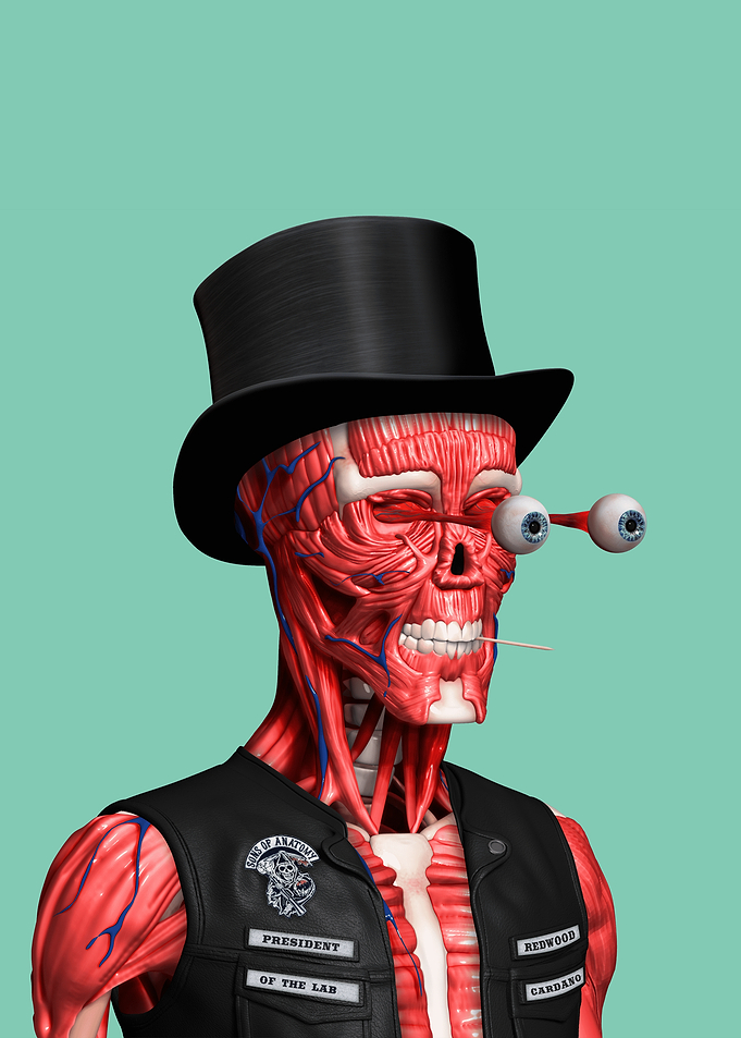 The Anatomy Banker: Eyes on Liquidity