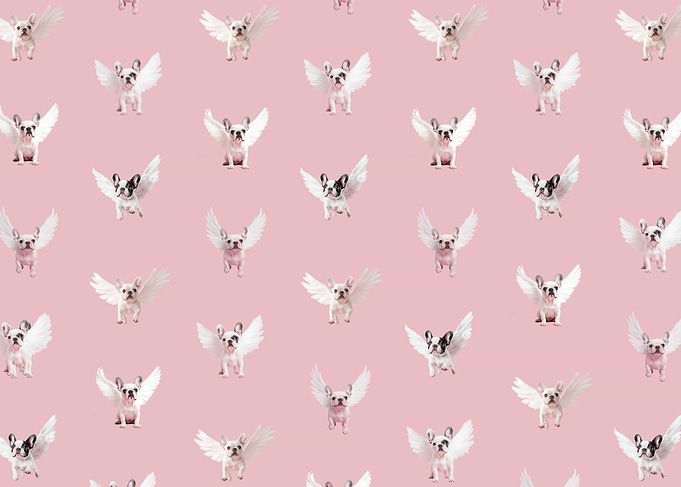 Seamless Pattern with Flying French Bulldog