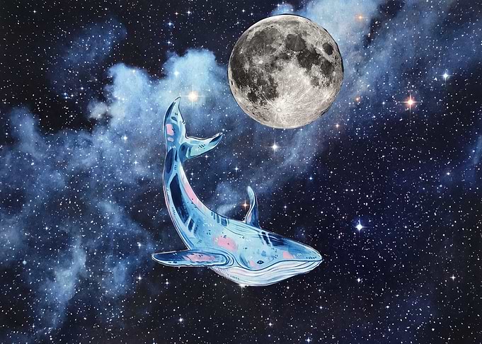 Whale Swimming in Deep Space
