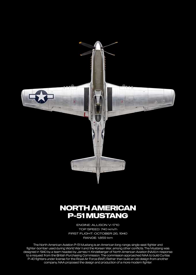 North American P-51 Mustang Poster
