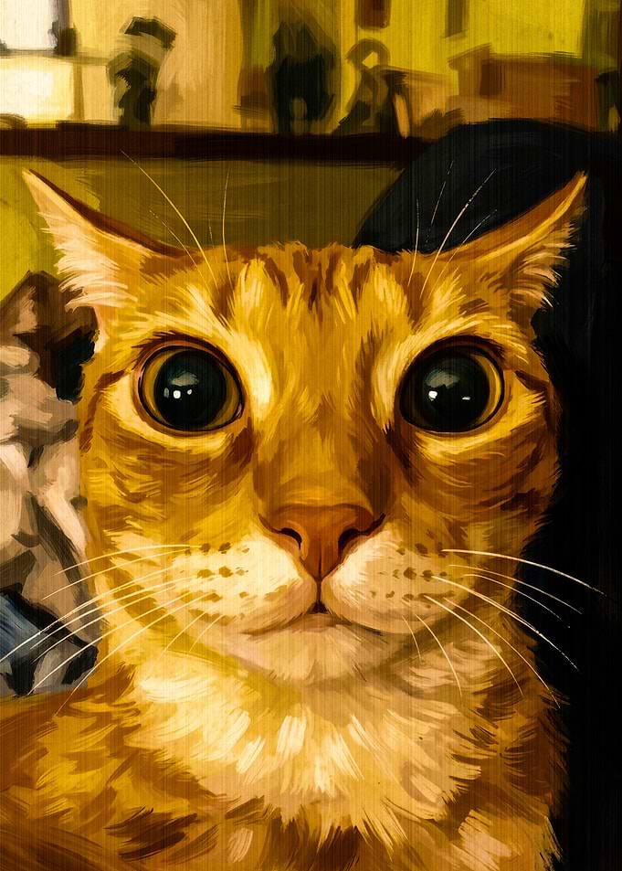 Close-up Portrait of an Orange Cat