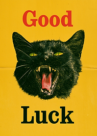 Good Luck Black Cat Poster