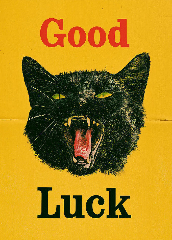 Good Luck Black Cat Poster