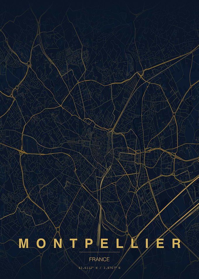 Montpellier France City Map Print