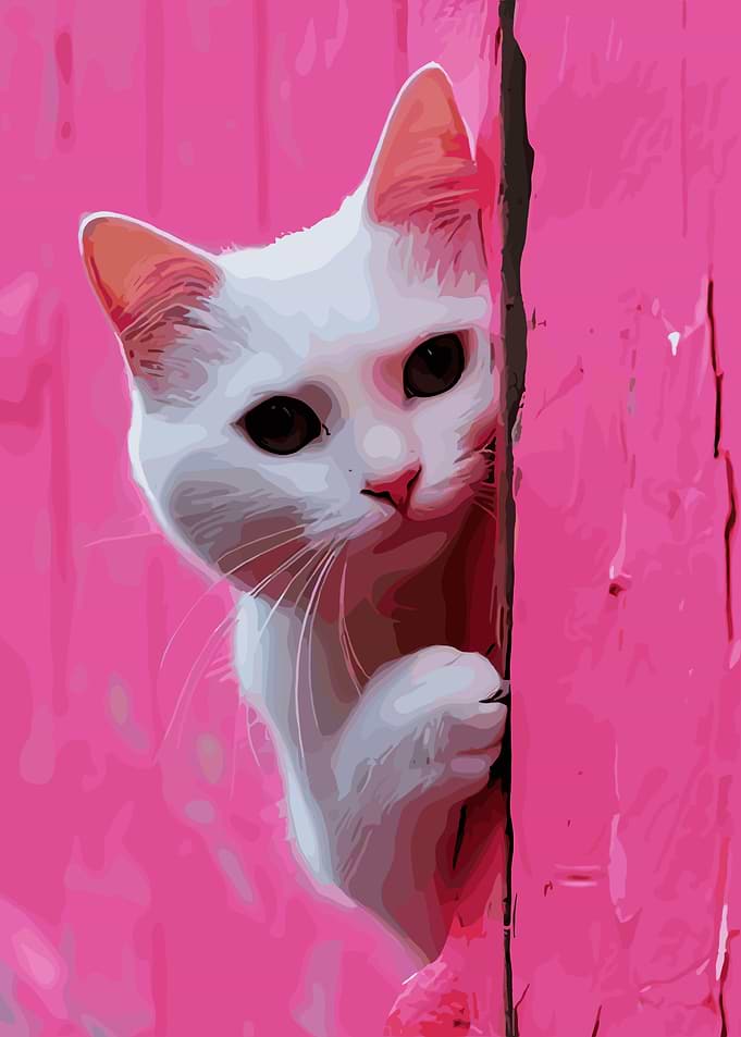 White Cat Peeking Behind Pink Door