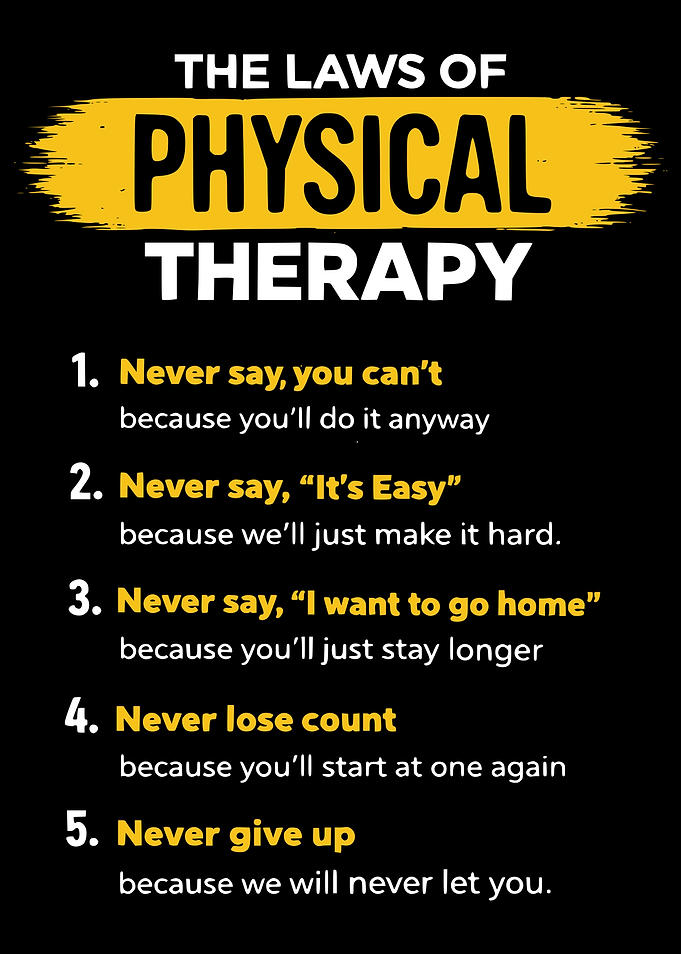 The Laws of Physical Therapy Poster