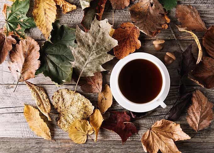 Autumn Coffee and Fallen Leaves