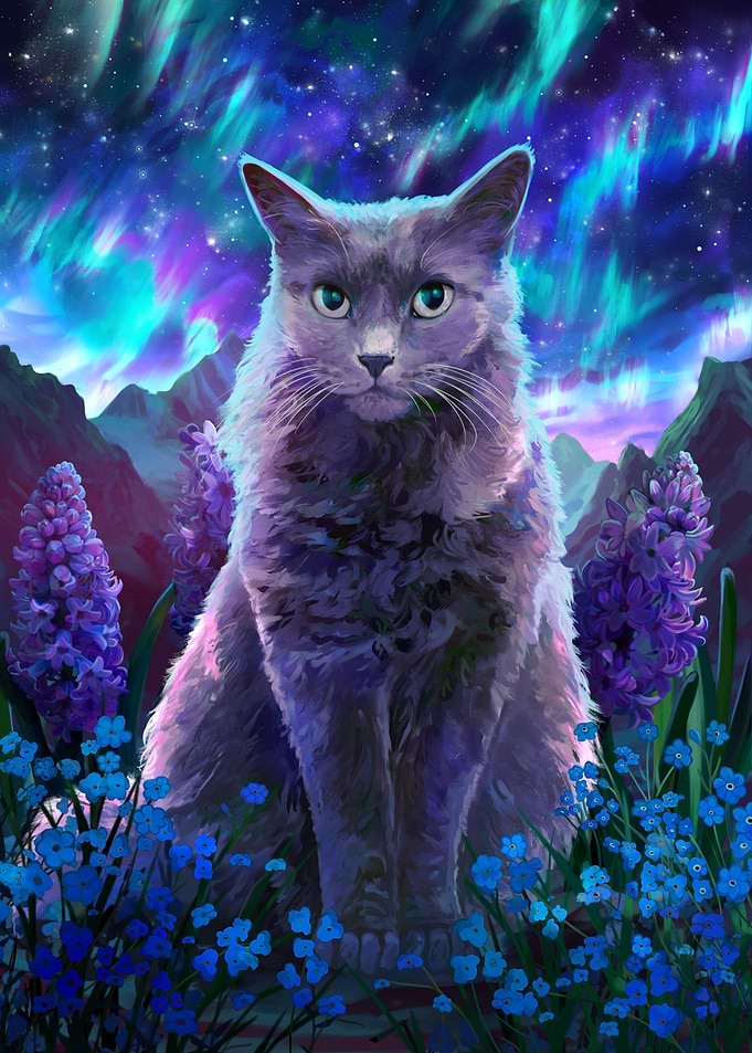 Aurora Borealis Cat