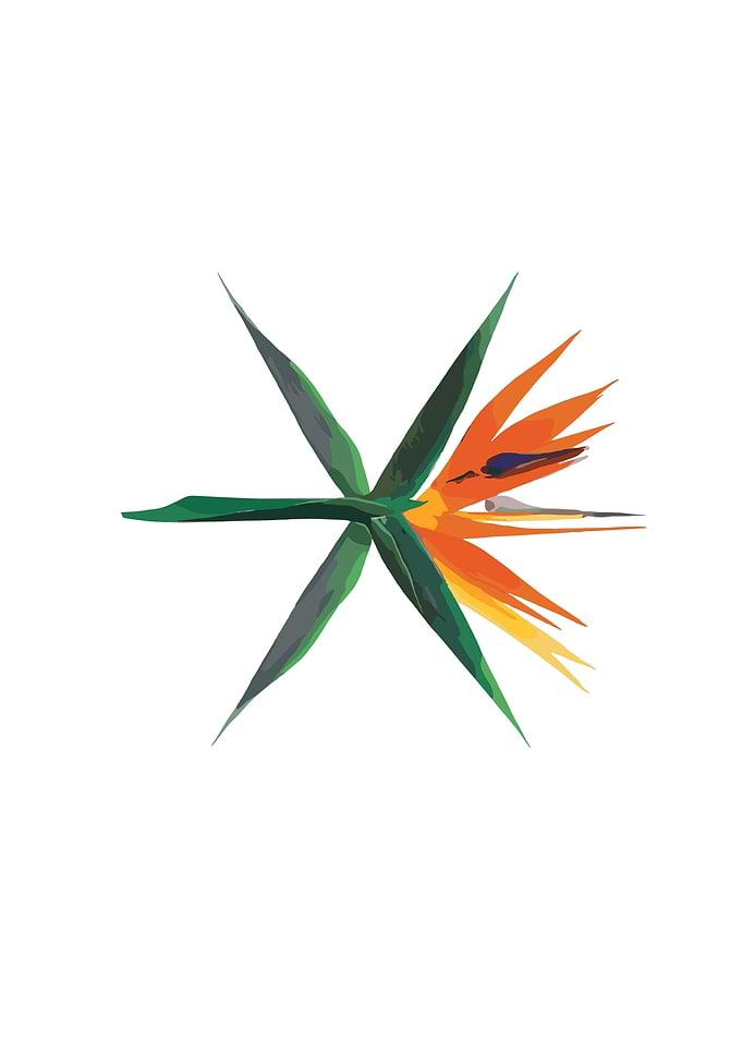 EXO