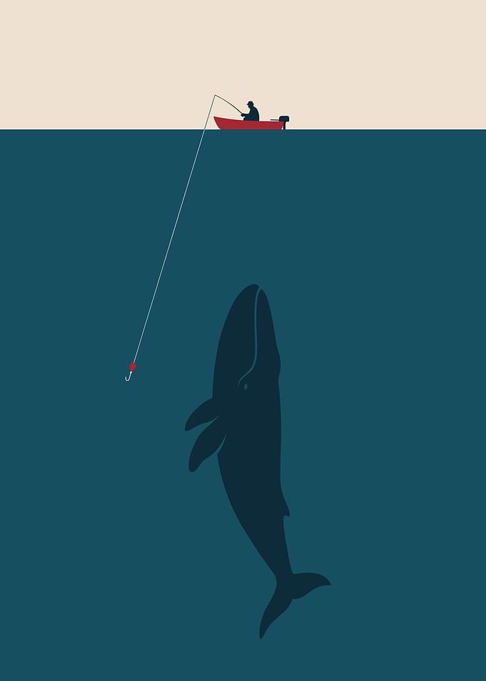 Minimalist Fishing for a Whale