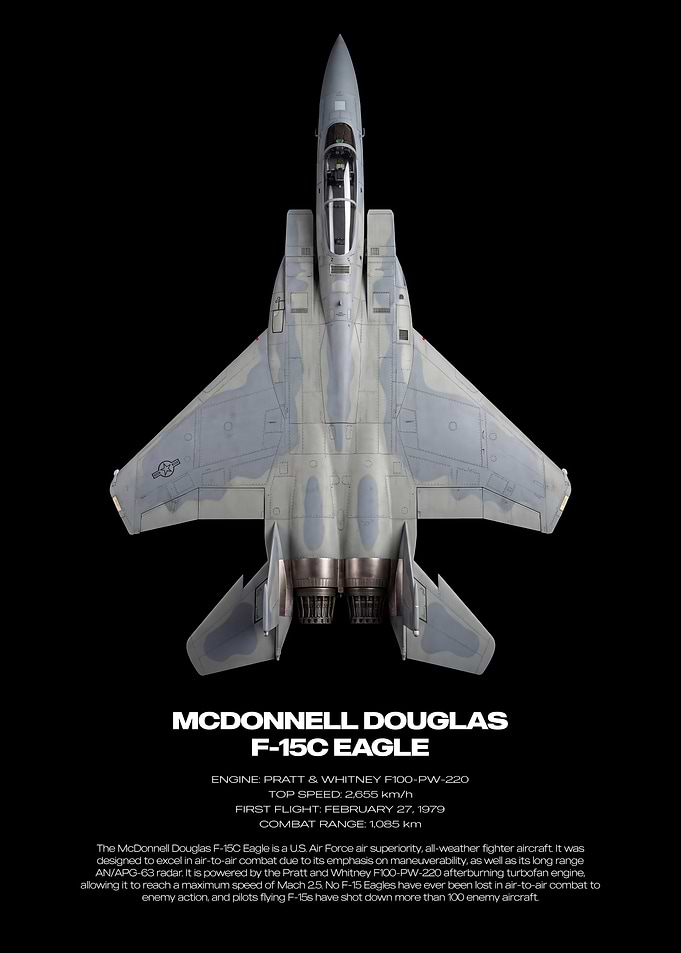 McDonnell Douglas F-15C Eagle Poster