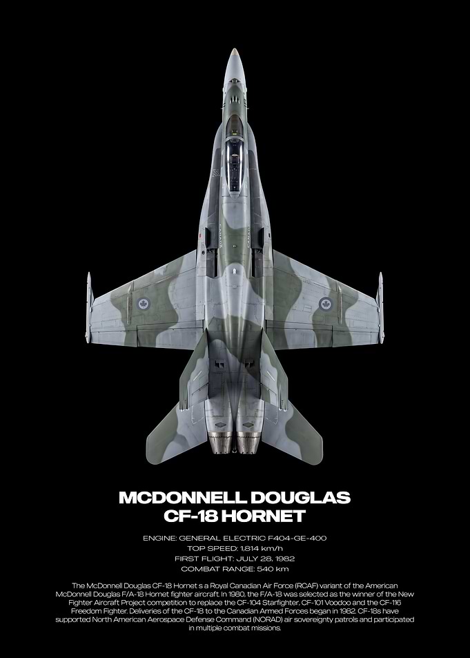 McDonnell Douglas CF-18 Hornet Poster
