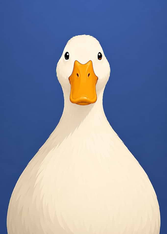 Portrait of a White Duck