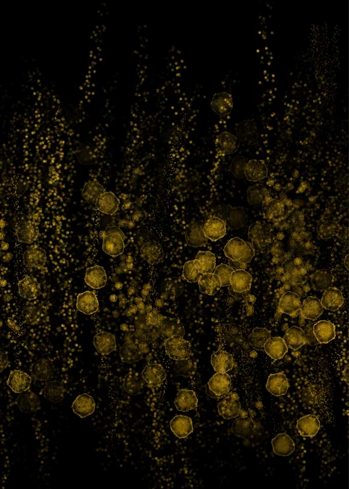 Golden Bokeh Particles on Black Background