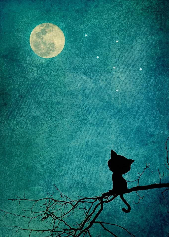 Cat Silhouette Under Full Moon