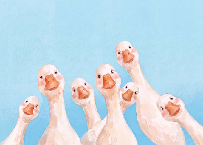Group of Curious Watercolor Geese