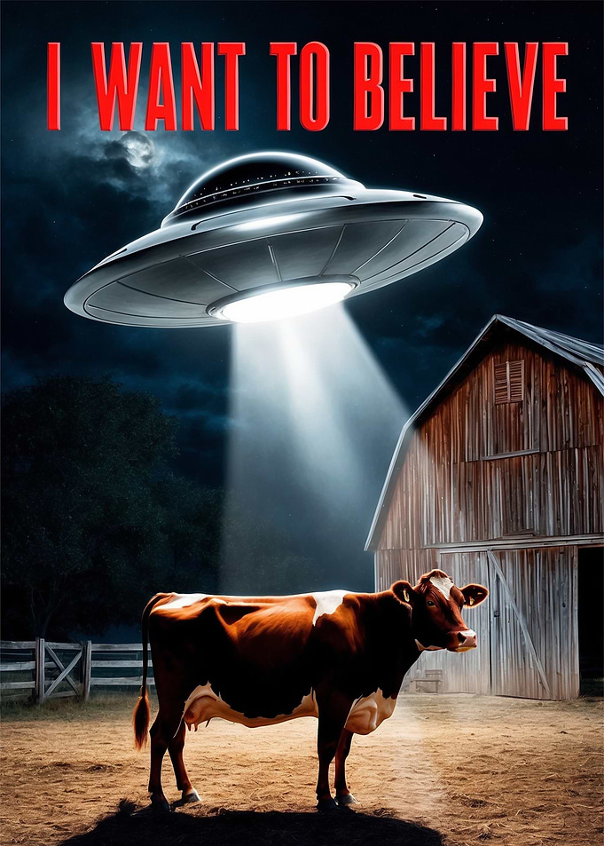 I Want To Believe UFO Poster