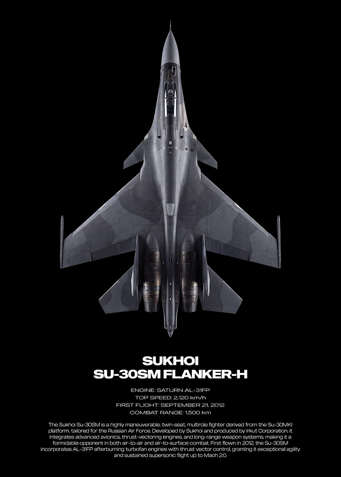 Sukhoi Su-30SM Flanker-H Fighter Jet