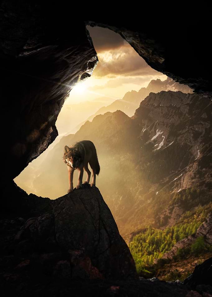 The Wolf's Lair