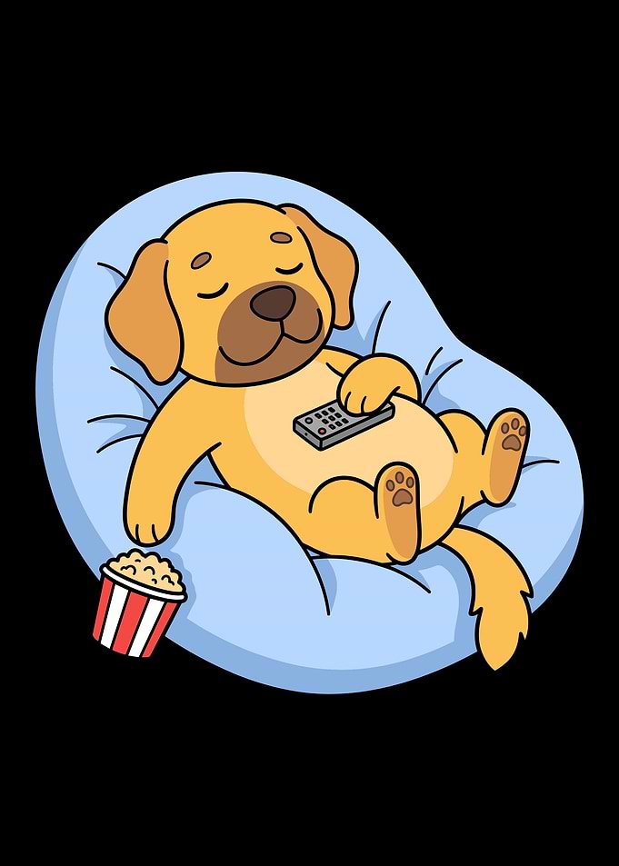 Cute Puppy Relaxing on Beanbag