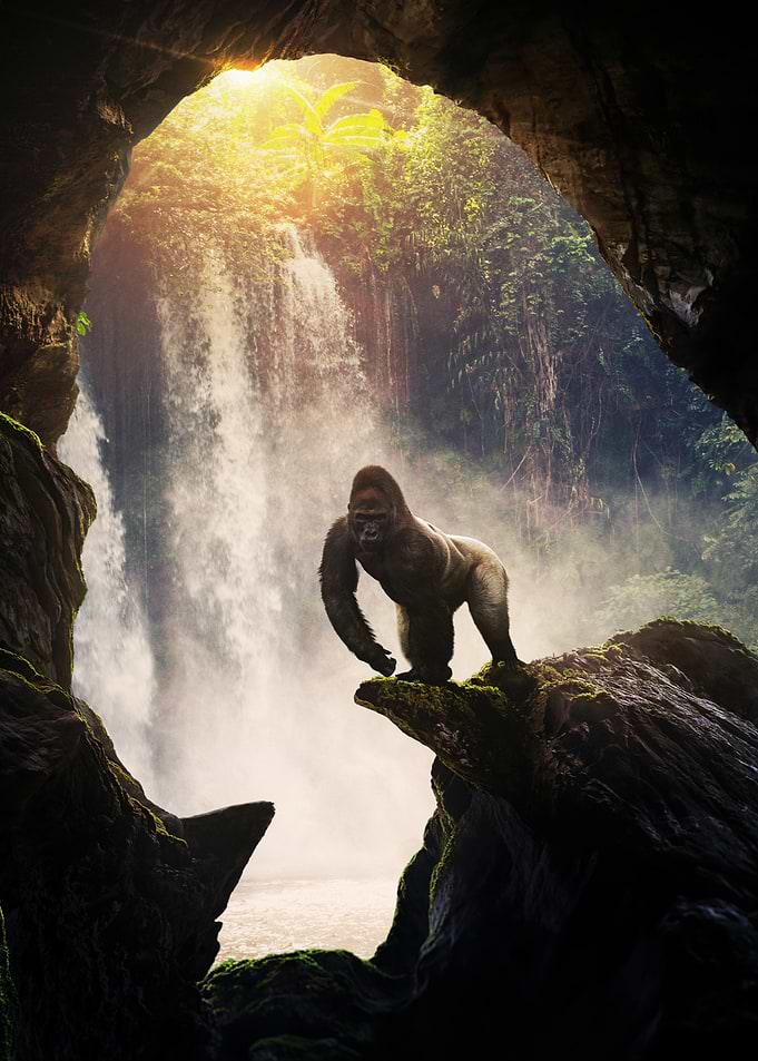 The Gorilla's Cave
