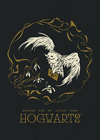 Hogwarts Acceptance Letter Delivery