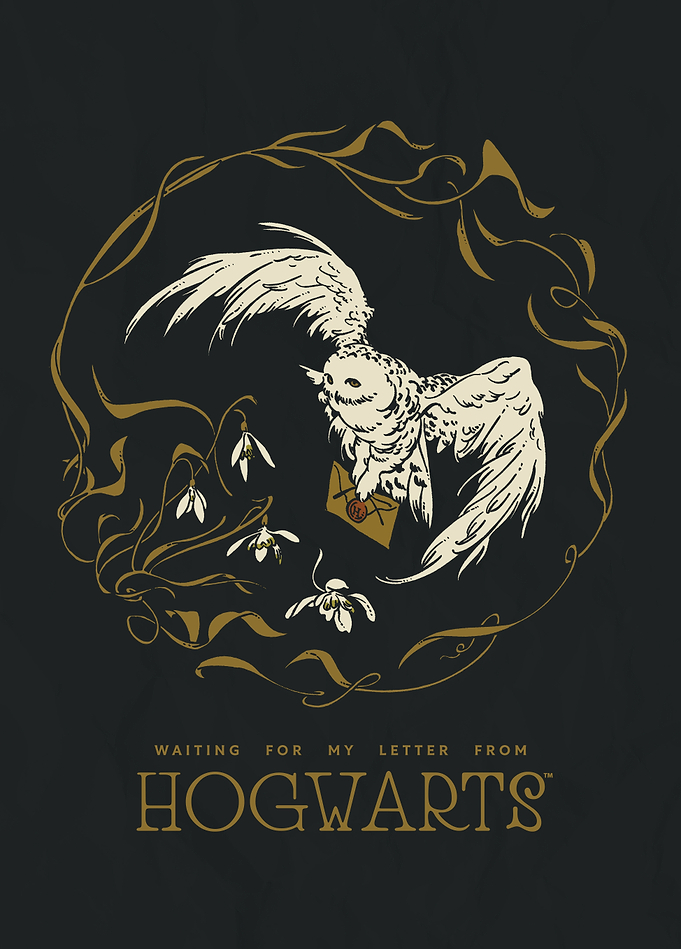 Hogwarts Acceptance Letter Delivery