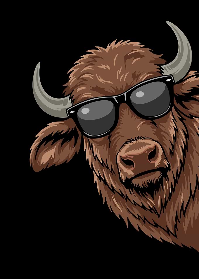 Cool Bison Wearing Sunglasses