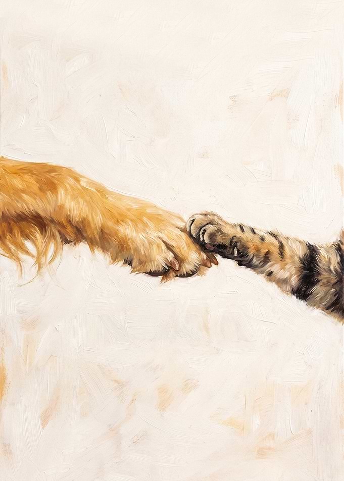 Dog and Cat Paws Touching