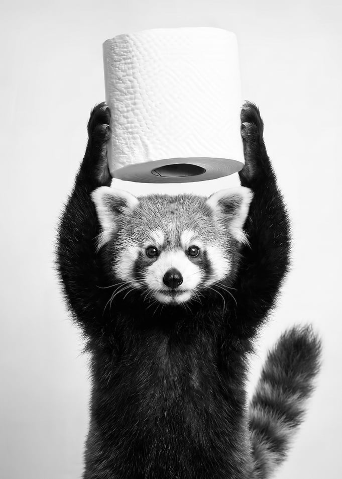 Red Panda Holding Toilet Paper