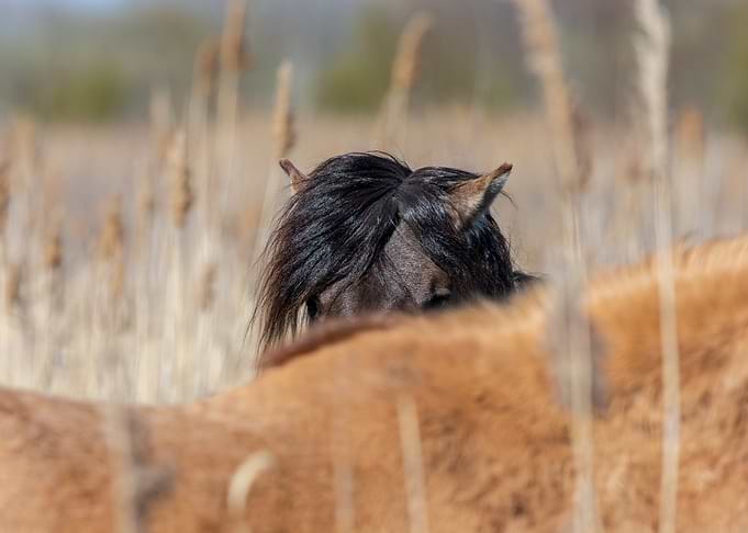 You can't see me