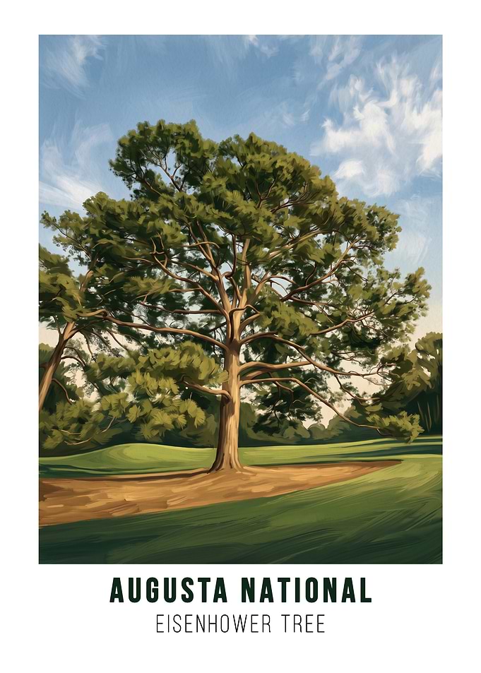 Augusta National Eisenhower Tree Poster