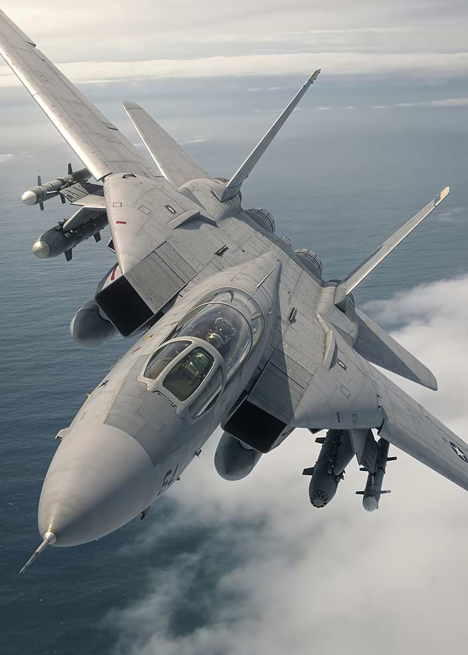 F-14 Tomcat in Flight, Naval Legend