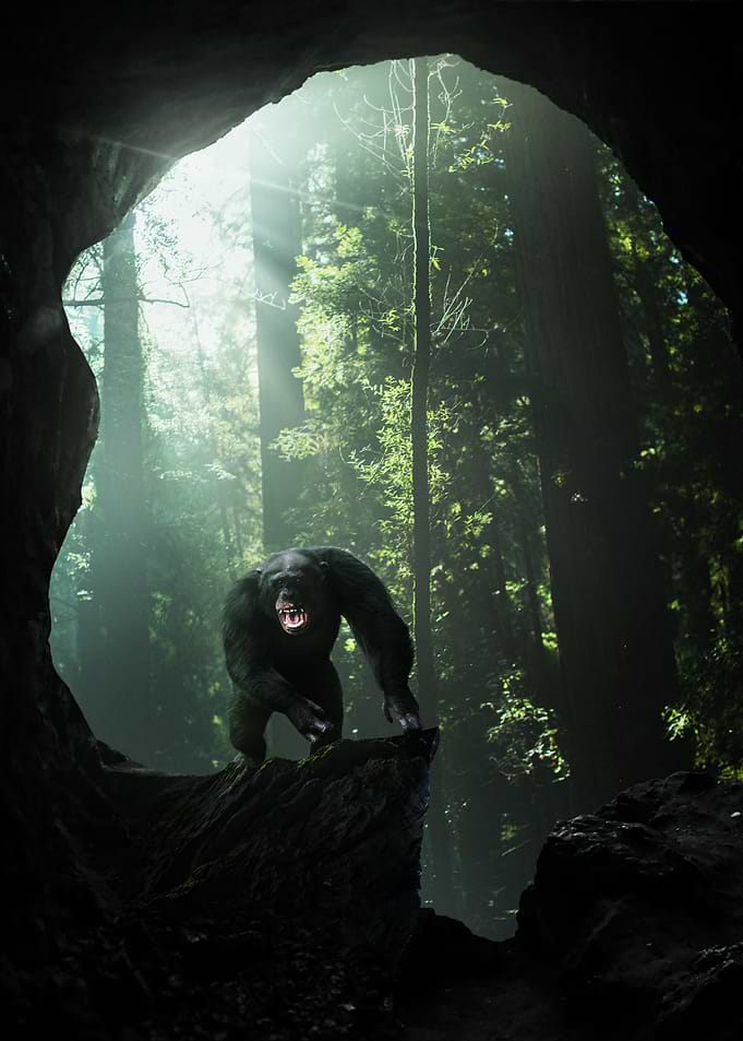 The Monkey Cave