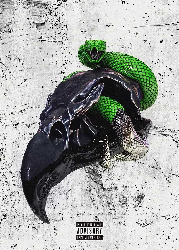 Green Snake Coiled Around Raven Skull