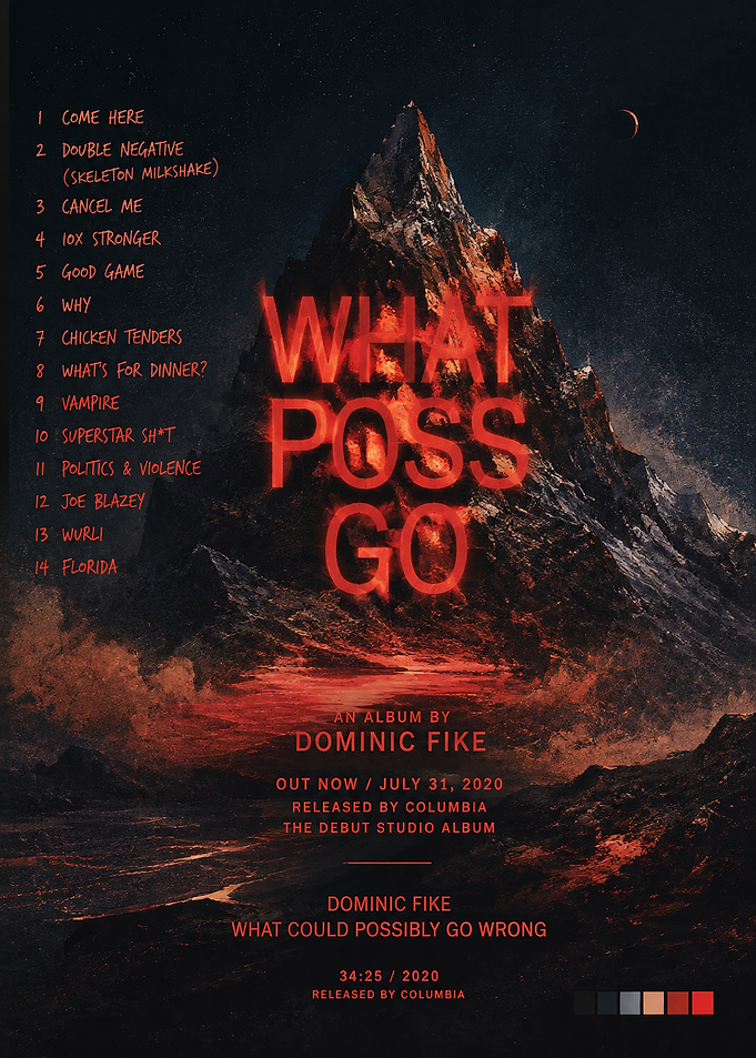 Dominic Fike What Could Possibly Go Wrong