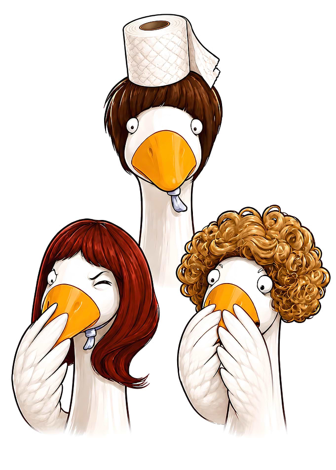 Three Funny Geese with Wigs