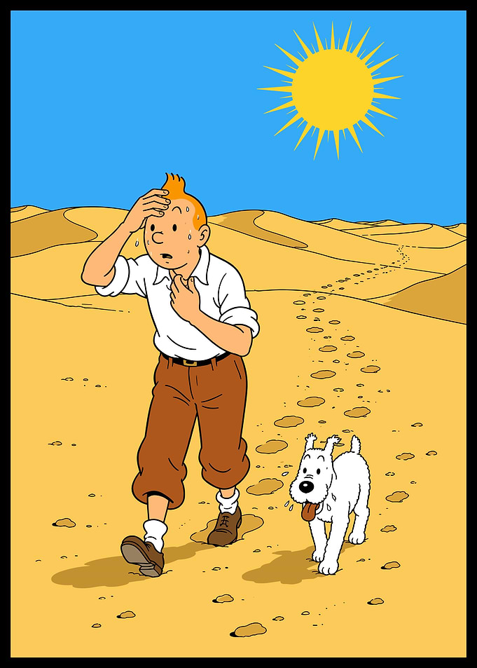 Tintin and Snowy in the Desert