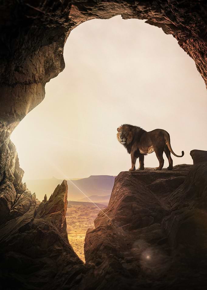 The Lion's Den