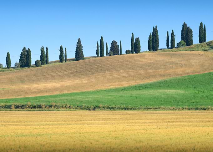 Tuscan Landscape with Cypress Trees