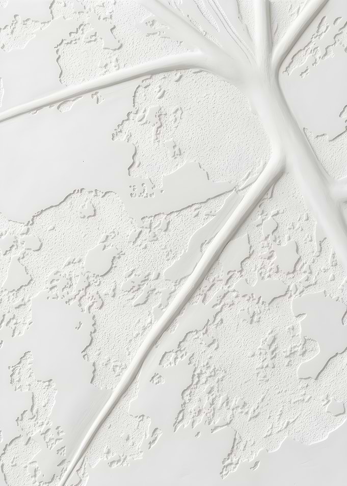 Alocasia Frydek Variegata – Minimalist Gypsum Leaf Art