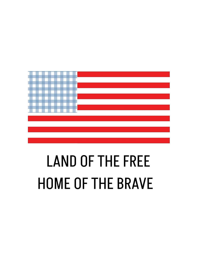 Gingham American Flag Wall Art