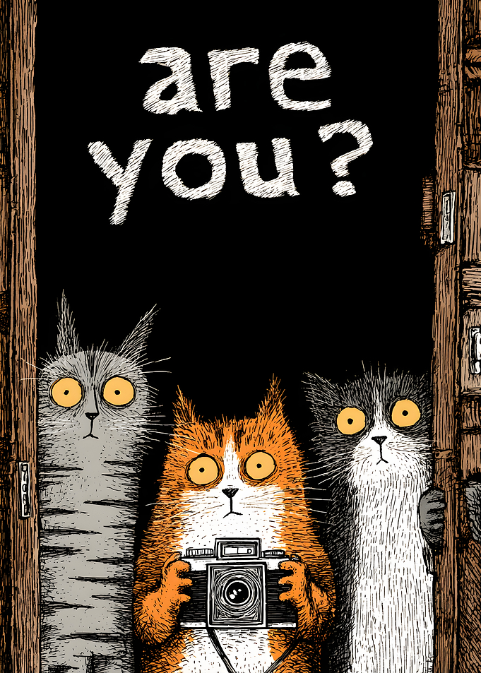 Three Curious Cats with Camera