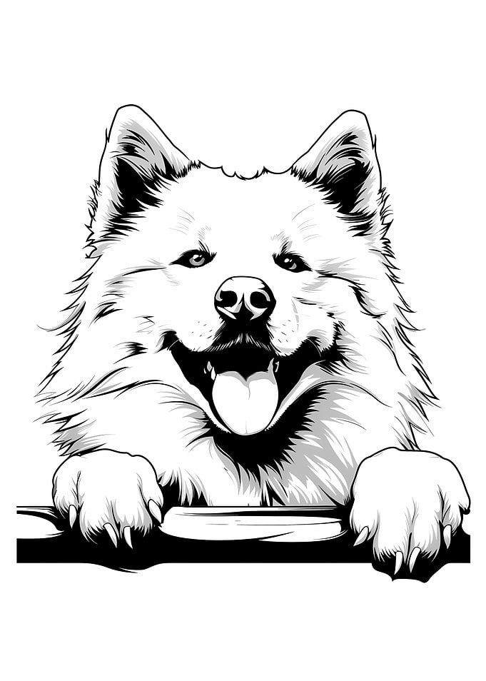 Black and White Samoyed Dog Illustration