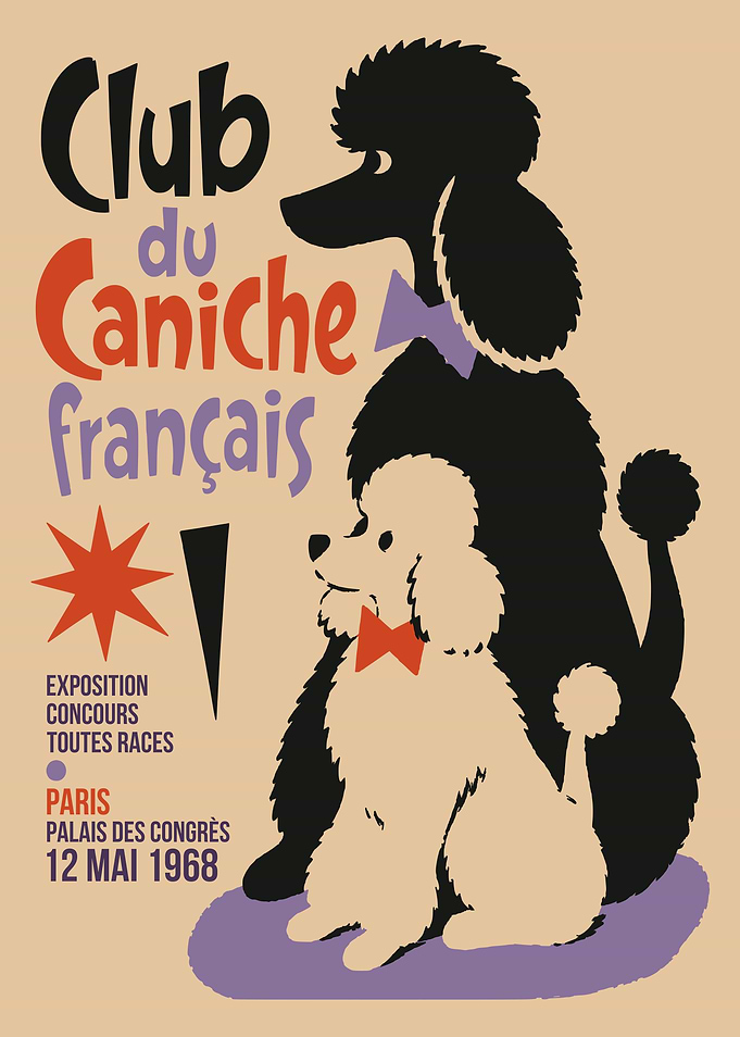 Vintage French Poodle Club Poster