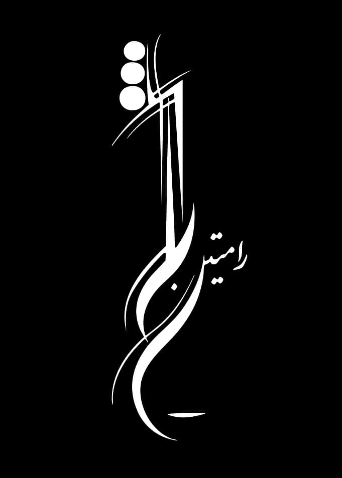 Elegant Violin Design