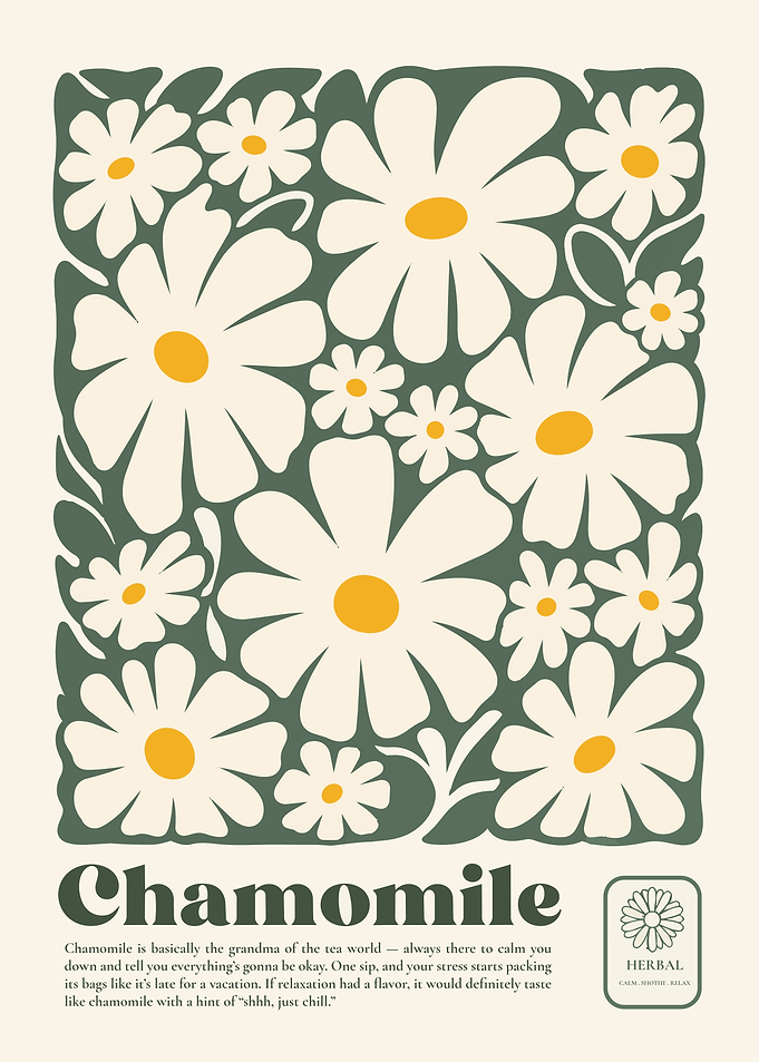 Chamomile Floral Botanical Art Print