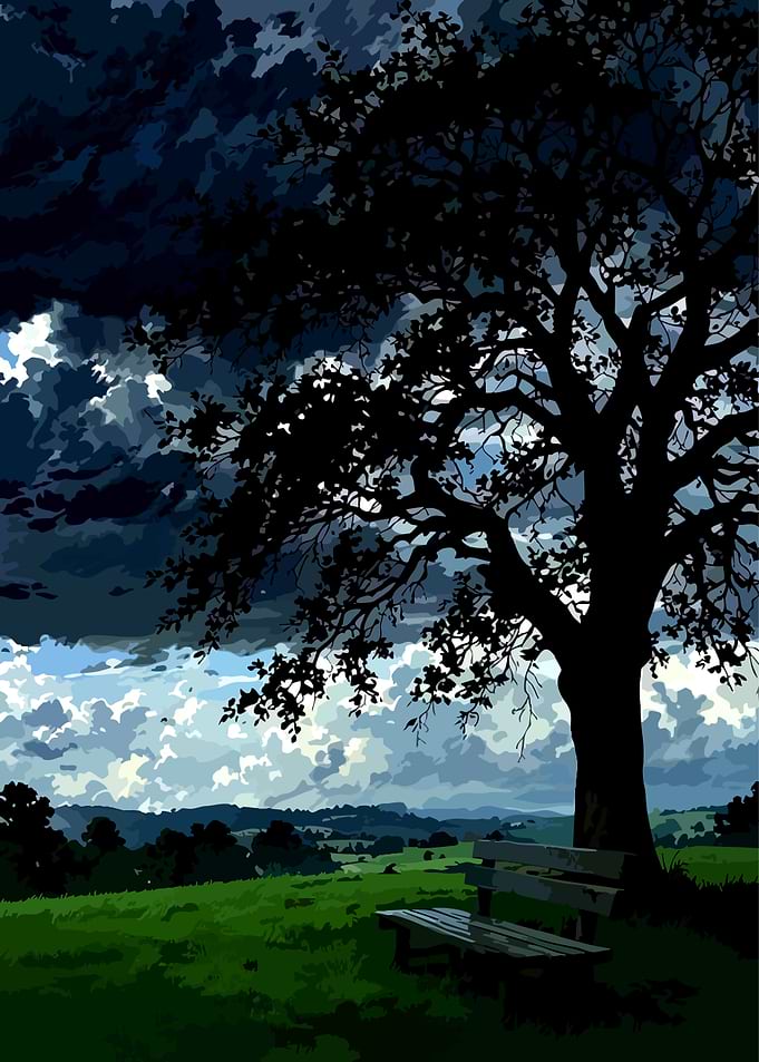 Lonely Bench Under Stormy Tree