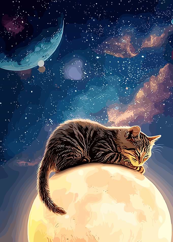 Cat Sleeping on the Moon